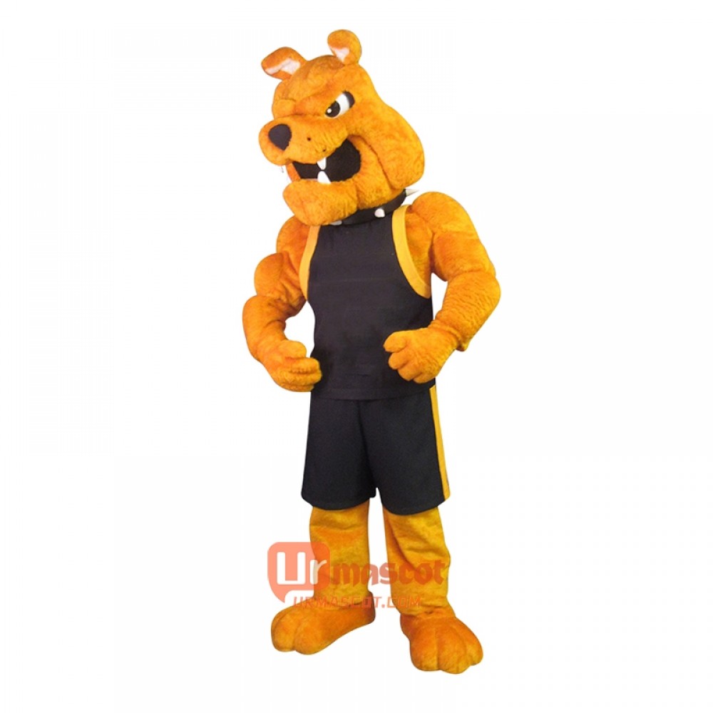 Power Butch Dog Custom Cartoon Mascot Costume