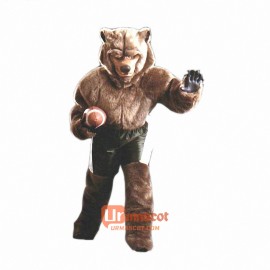 Pro Bear Custom Cartoon Mascot Costume
