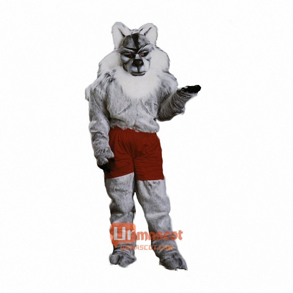 Pro Husky Cartoon Costume Mascot
