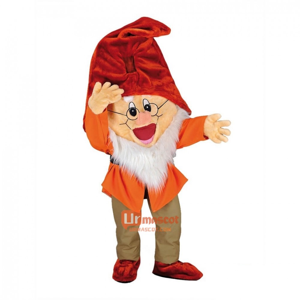 Prof 7 Dwarfs Cartoon Mascot Costume Plush with Mask
