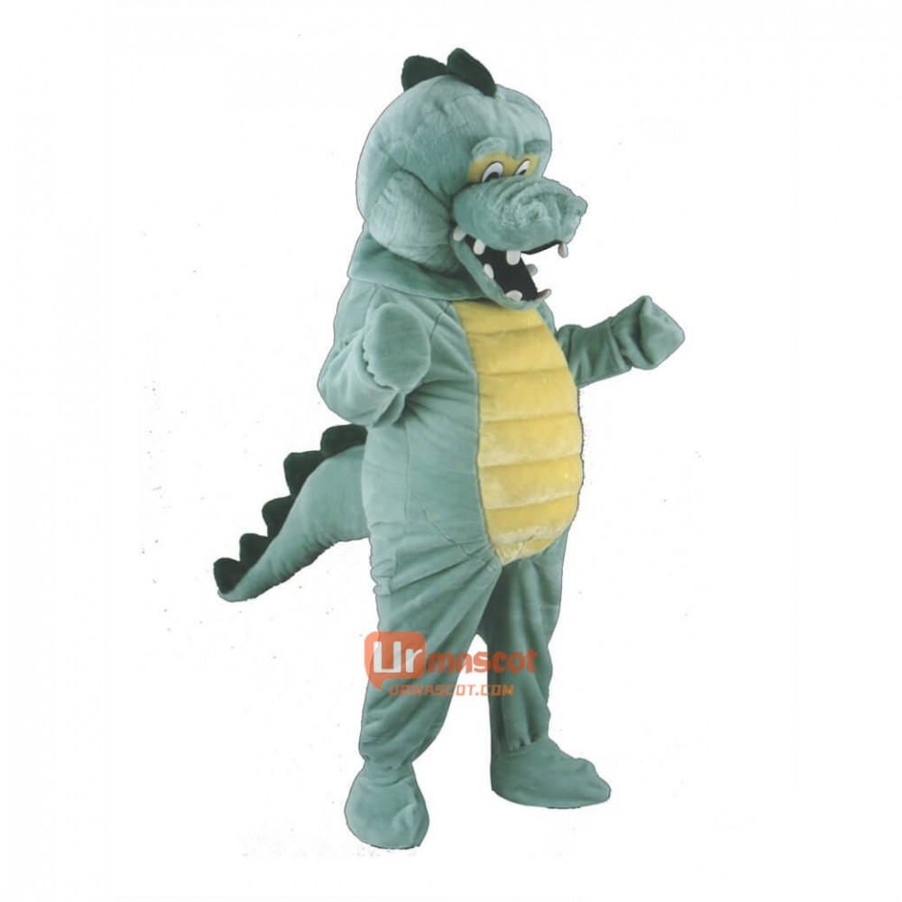 Professional Quality Crocodile Custom Cartoon Mascot Costume
