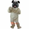 Pug Cartoon Mascot Costume