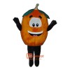 Pumpkin (Bodysuit not included) Cartoon Costume Mascot
