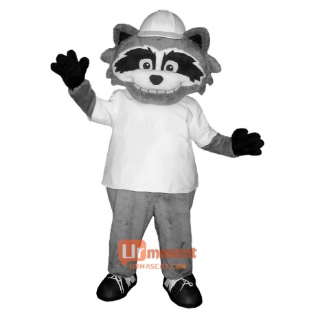 Raccoon Custom Cartoon Mascot Costume