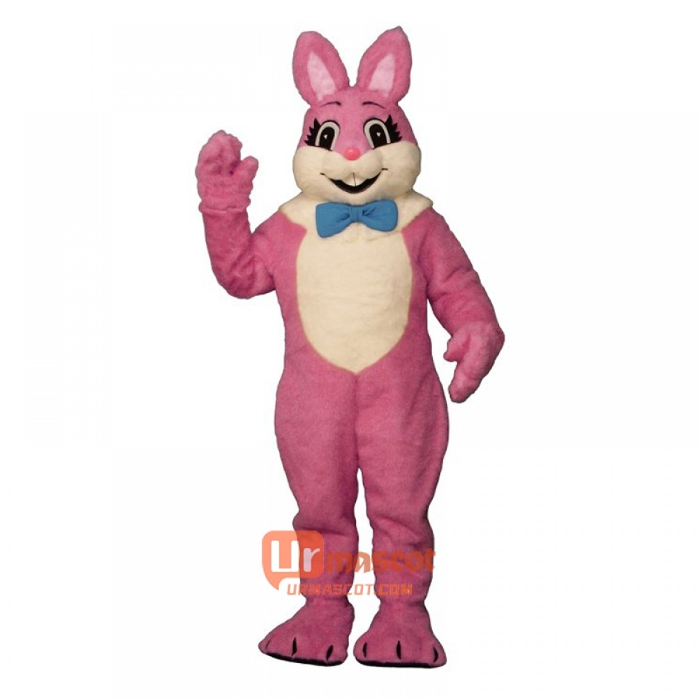 Raleigh Rabbit Cartoon Costume Mascot