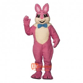 Raleigh Rabbit Cartoon Costume Mascot