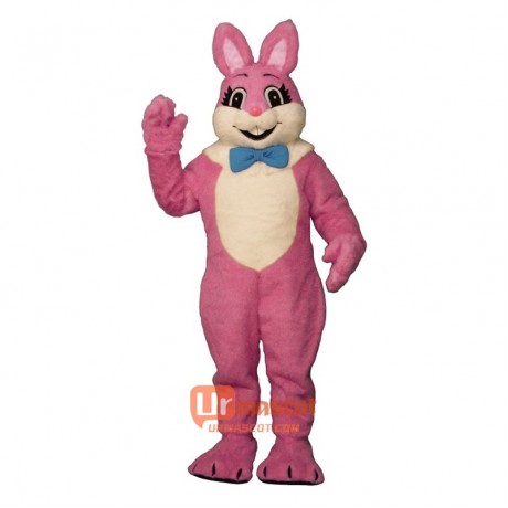 Raleigh Rabbit Cartoon Costume Mascot