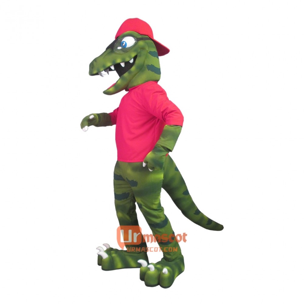 Raptor Custom Cartoon Mascot Costume
