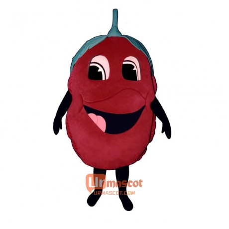 Raspberry (Bodysuit not included) Cartoon Costume Mascot