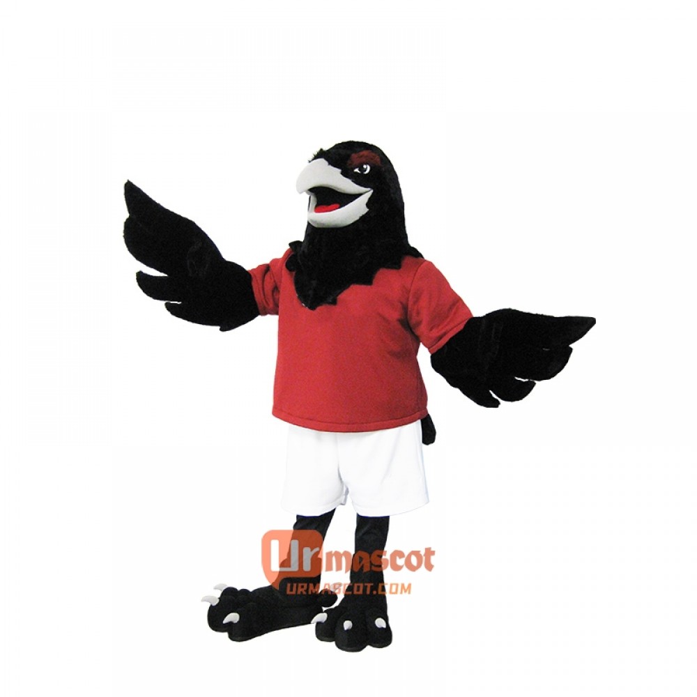 Raven Custom Cartoon Mascot Costume