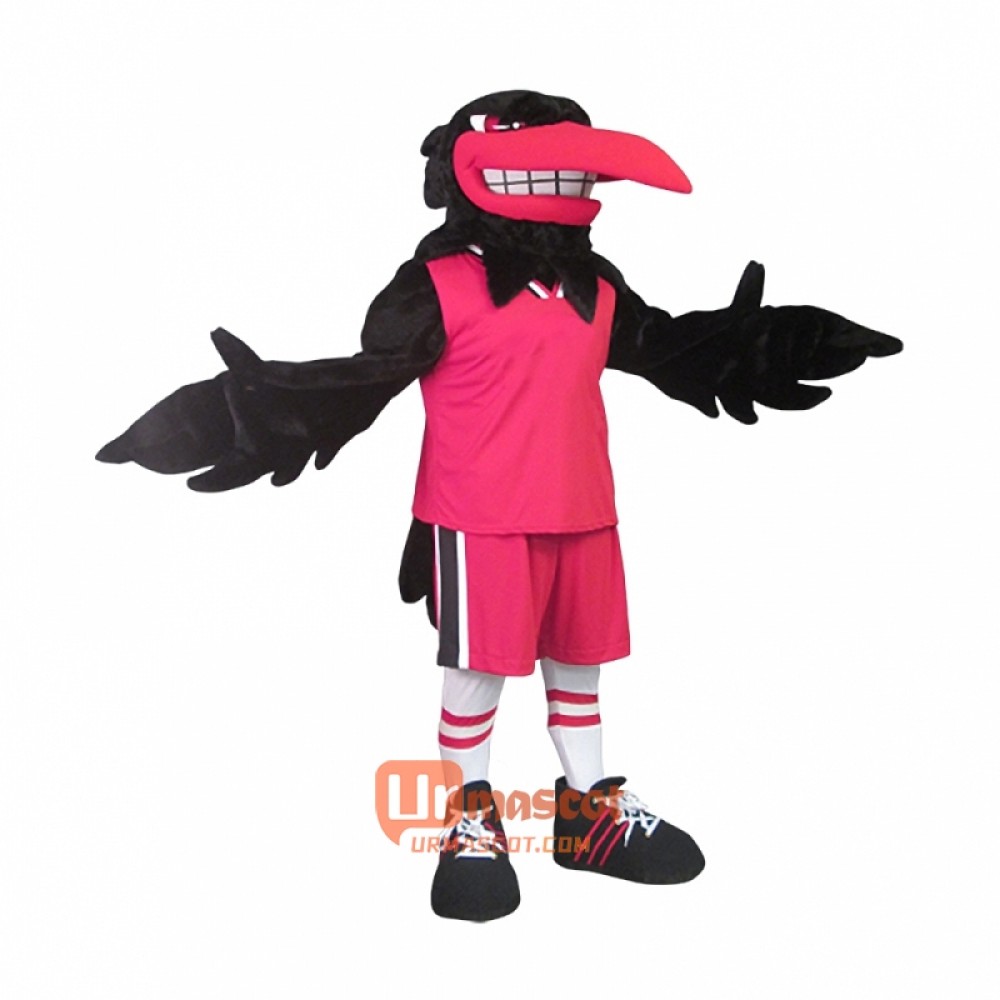 Raven Custom Cartoon Mascot Costume