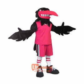 Raven Custom Cartoon Mascot Costume