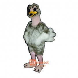 Realistic Ostrich Cartoon Costume Mascot