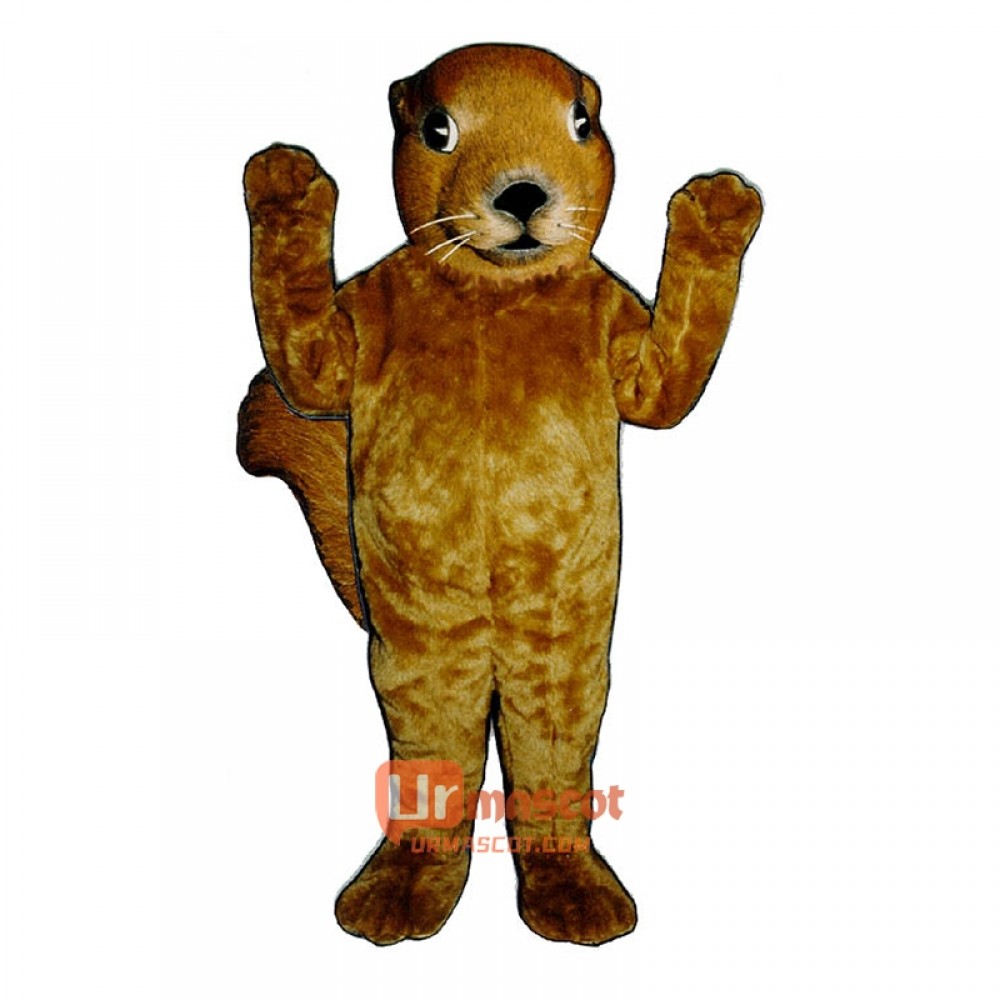 Realistic Squirrel Cartoon Costume Mascot