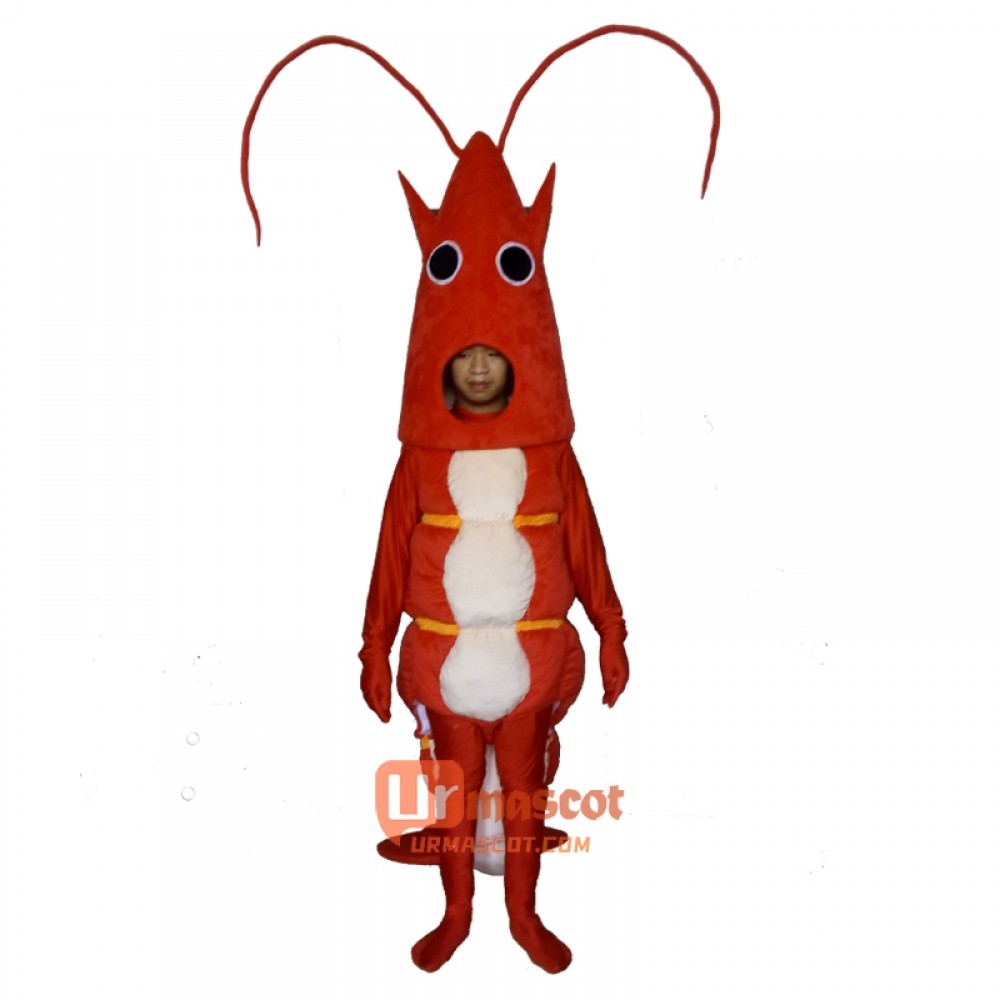 Red Lobster Mascot Cartoon Costume
