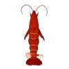 Red Lobster Mascot Cartoon Costume