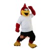 Red Sport Eagle Cartoon Mascot Costume Plush with Mask