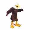 Rex the Eagle Custom Cartoon Mascot Costume