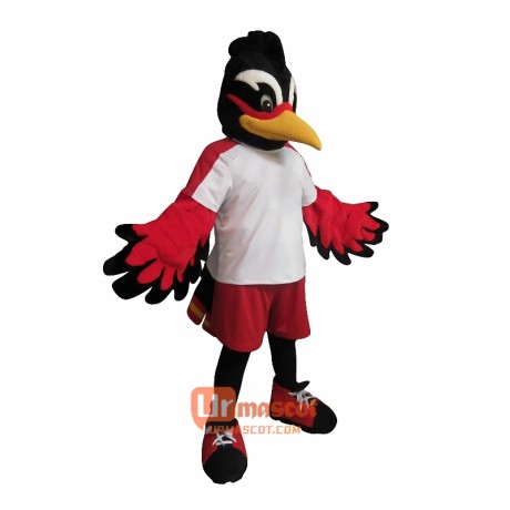 Rio Bird Custom Cartoon Mascot Costume