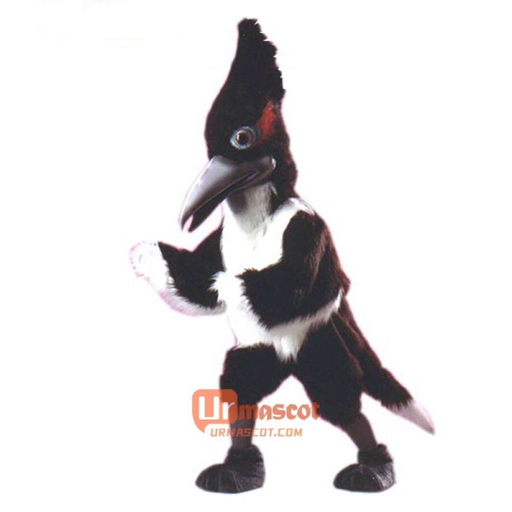 Roadrunner Cartoon Costume Mascot