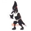 Roadrunner Cartoon Costume Mascot