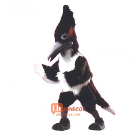 Roadrunner Cartoon Costume Mascot