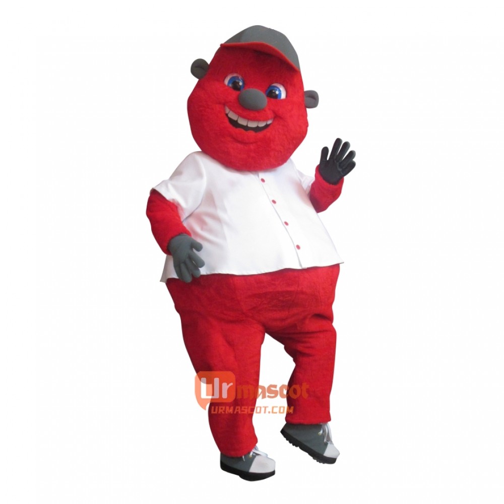 Rocky the Rebel Custom Cartoon Mascot Costume