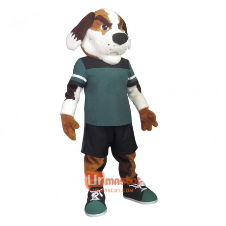 Saint Bernard Dog Custom Cartoon Mascot Costume