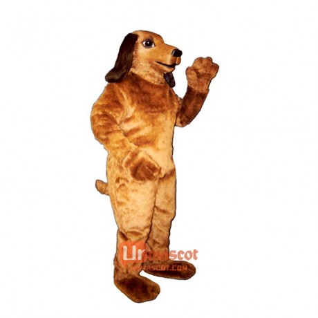 Sammy Spaniel Cartoon Costume Mascot