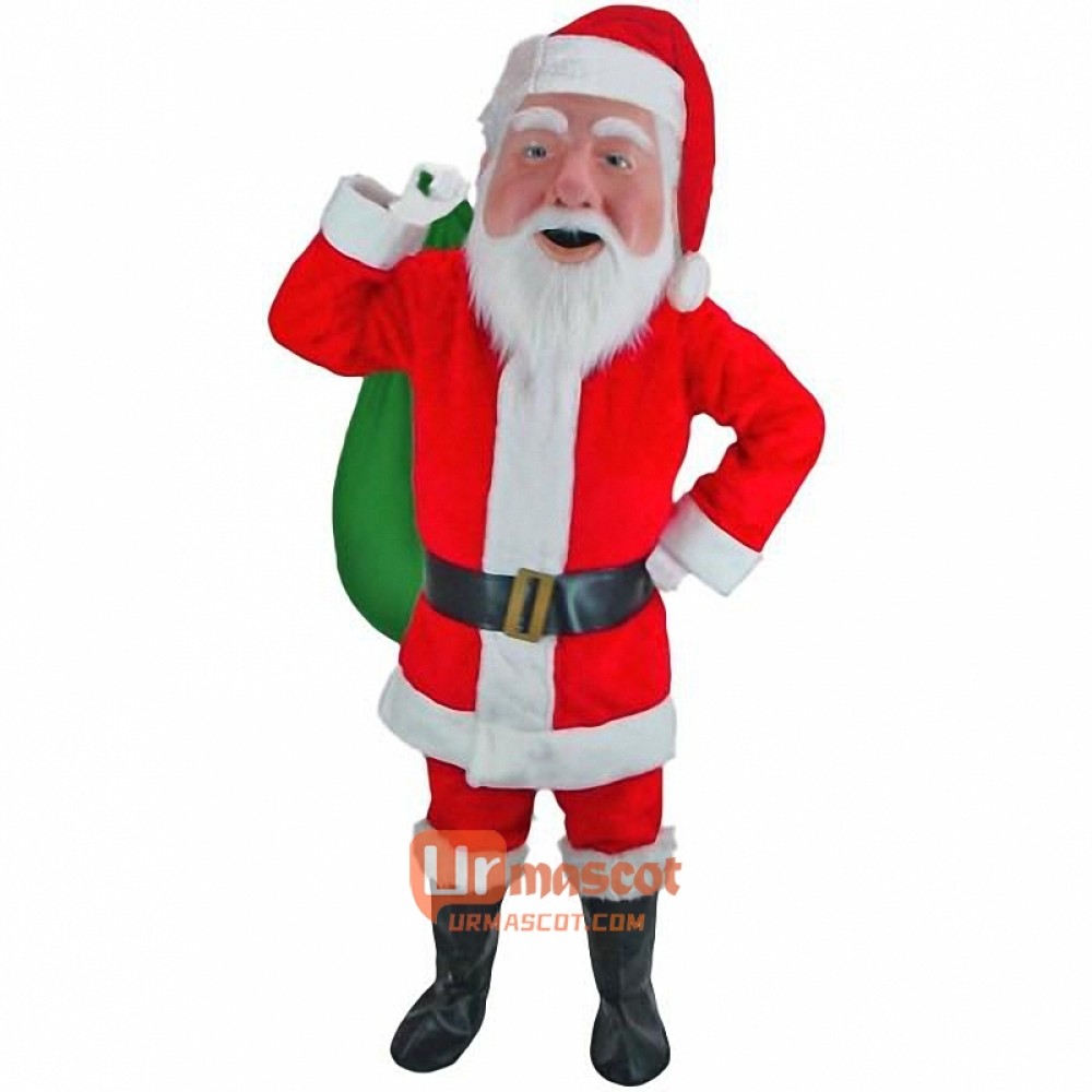 Santa Claus Cartoon Mascot Costume