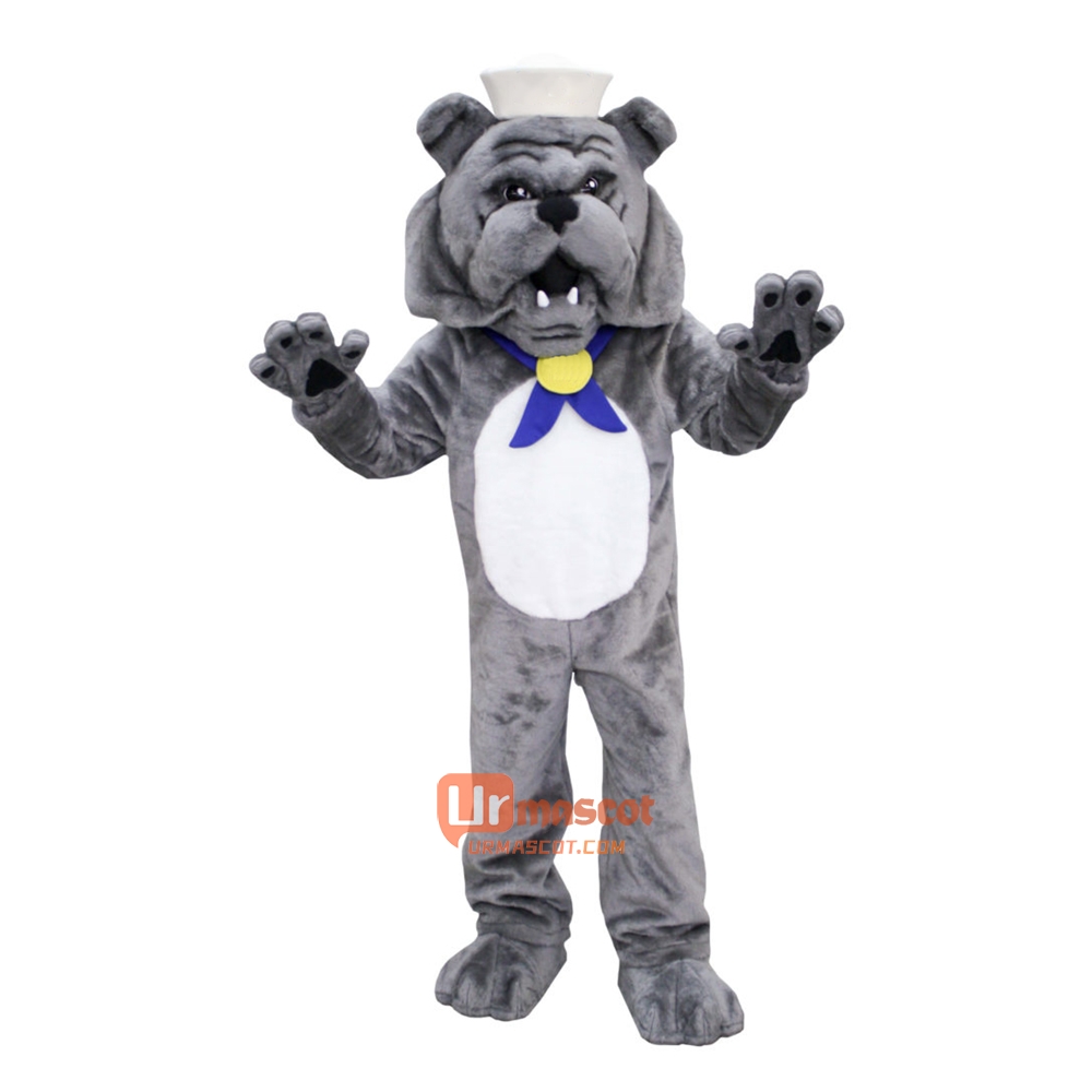 School Bulldog Cartoon Mascot Costume