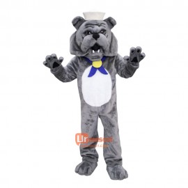 School Bulldog Cartoon Mascot Costume