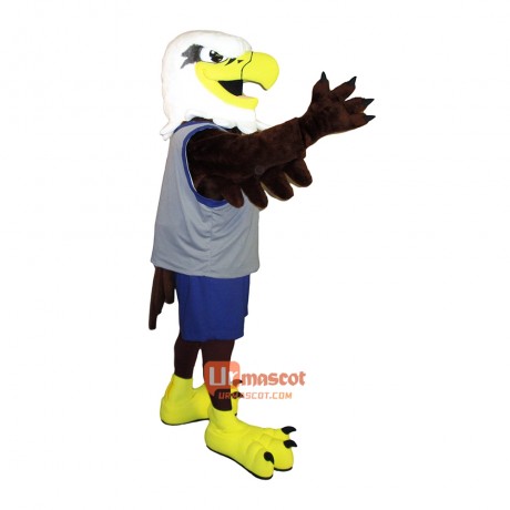 School Friendly Eagle Custom Cartoon Mascot Costume