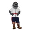 Sea Lion Seal Walrus Cartoon Mascot Costume Plush with Mask