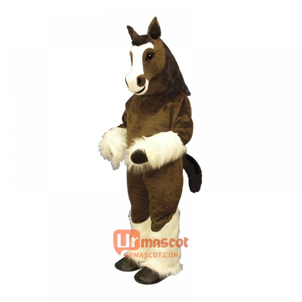 Shirley Shire Cartoon Costume Mascot