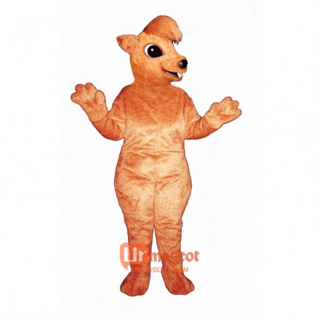 Sid Squirrel Cartoon Costume Mascot