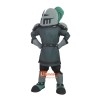 Sir Custom Cartoon Mascot Costume
