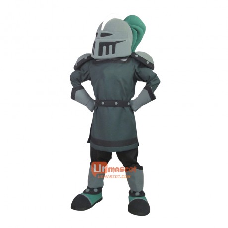 Sir Custom Cartoon Mascot Costume