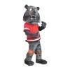 Smitty Dog Custom Cartoon Mascot Costume