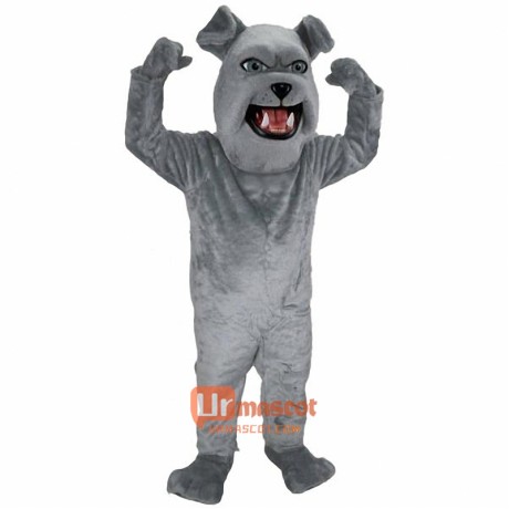 Spike Cartoon Mascot Costume