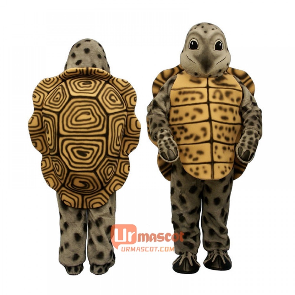 Spotted Terrapin Mascot Cartoon Costume