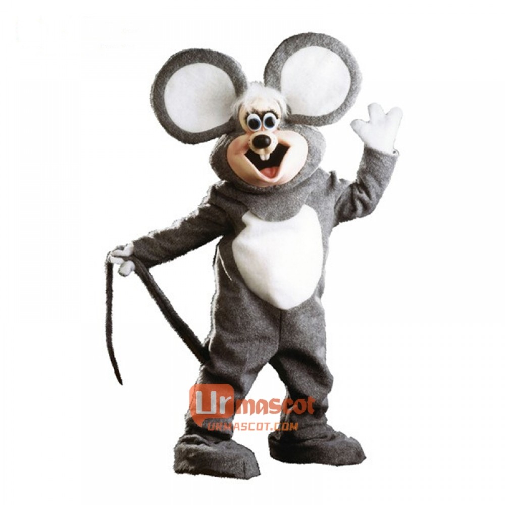 Squeek The Mouse Cartoon Costume Mascot