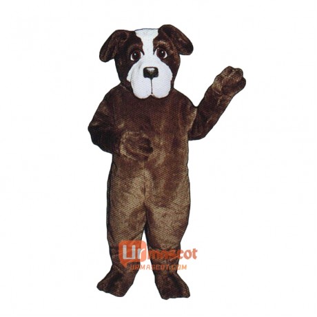St. Bernard Cartoon Costume Mascot