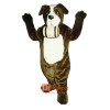 St. Bernard Cartoon Costume Mascot