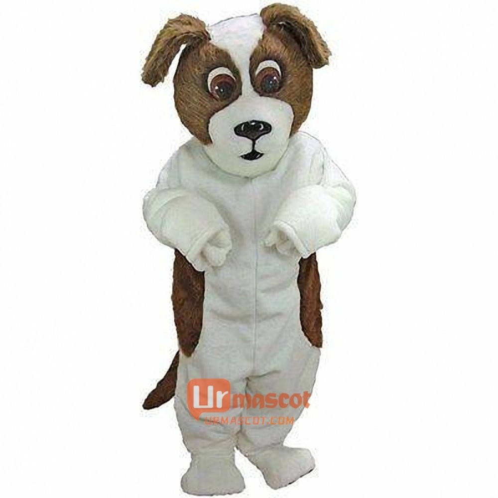 St. Bernard Cartoon Mascot Costume