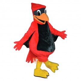 St Thomas Aquinas Cardinal Mascot Costume Cosplay Outfits