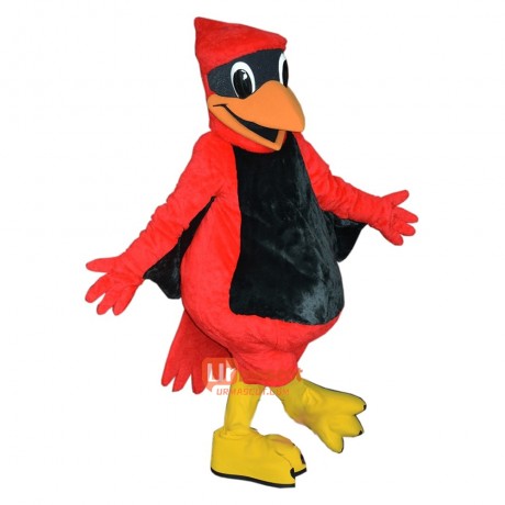 St Thomas Aquinas Cardinal Mascot Costume Cosplay Outfits