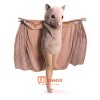 Stellaluna Bat Mascot Costume Cosplay Outfits