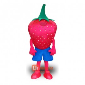 Strawberry Character Mascot Costume Cosplay Outfits