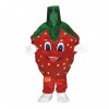 Strawberry Custom Cartoon Mascot Costume